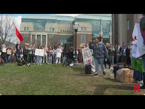 Protesta en el campus de la Universidad de Minnesota por el conflicto en Gaza I DIRECTO