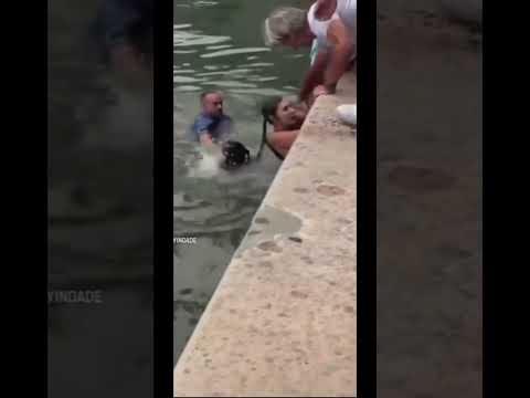 Miami police investigating after video shows woman being assaulted after saving dog from water