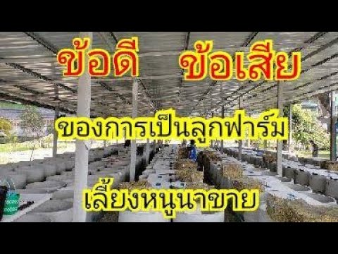 ข้อดีข้อเสียของการเป็นลูกฟาร ข้อดีข้อเสียของการเป็นลูกฟาร