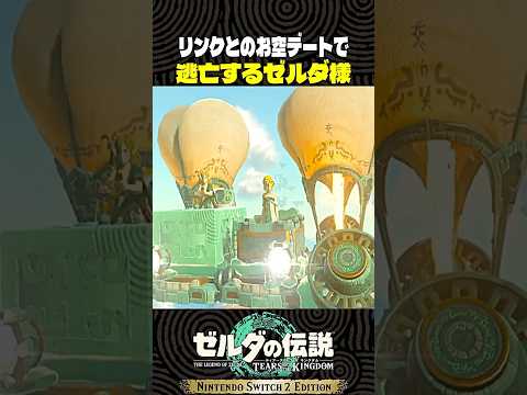 リンクとのお空デートで逃亡するゼルダ様【ゼルダの伝説 ティアキン】