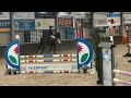 Show jumping horse Geweldige 7 jarige merrie springen hunter