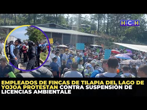 Empleados de fincas de tilapia del Lago de Yojoa protestan contra suspensión de licencias ambientale