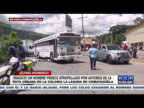 Hombre muere arrollado por bus en bulevar del Norte, sector La Laguna