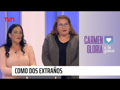 Como dos extraños | Carmen Gloria a tu servicio