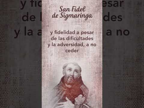 Oración a San Fidel de Sigmaringa #SantoDelDía  #TeleVID #Shorts
