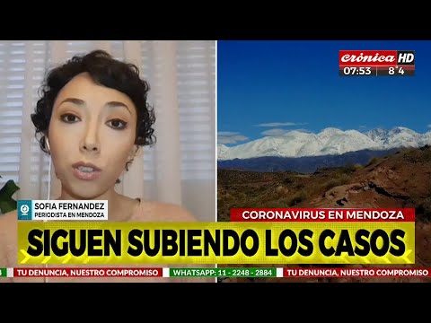 Coronavirus en Mendoza: 576 nuevos casos y 7 muertos