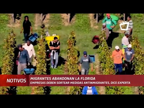 Migrantes nicaragüenses huyen de la Florida antes del 1 de julio
