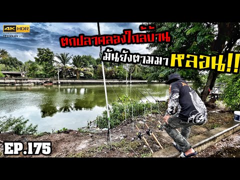 🎣🐠-We-are-Angler-EP:175-“ตามหา 🎣🐠-We-are-Angler-EP:175-“ตามหา
