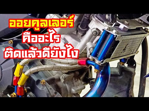 ออยคูลเลอร์-คืออะไร-ต่างจากหม้ ออยคูลเลอร์-คืออะไร-ต่างจากหม้