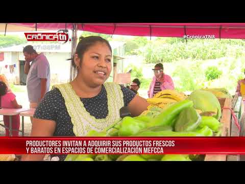 Productora de Ticuantepe invita a familias a la Feria Nacional del Plátano – Nicaragua