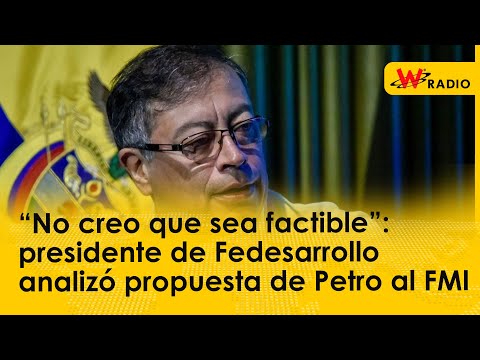 “No creo que sea factible”: presidente de Fedesarrollo analizó propuesta de Petro al FMI