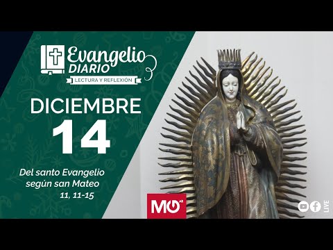 Lectura y reflexión | 14 de diciembre 2023 | Del santo Evangelio según san Mateo: 11, 11-15.