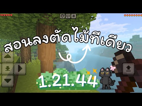 Minecraftสอนลงตัดต้นไม้1.21.