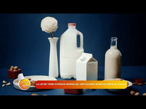 Importancia de la leche y sus derivados en la alimentación humana