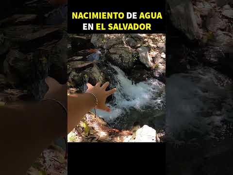 Un Nacimiento de Agua en El Salvador