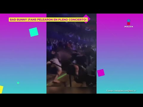 ¡FANS de Bad Bunny se PELEARON en pleno concierto! | De Primera Mano