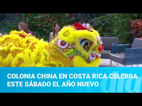 Colonia china en Costa Rica celebra este sábado el Año Nuevo