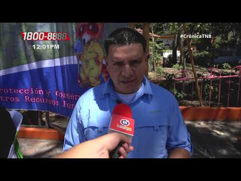 INAFOR lanza campaña 2020 contra incendios forestales en Jinotega - Nicaragua