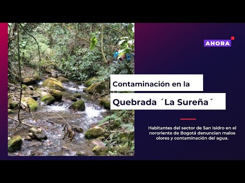 Comunidad denuncia contaminación en la quebrada ‘La Sureña’