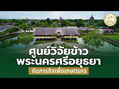 ศูนย์วิจัยข้าวพระนครศรีอยุธยา