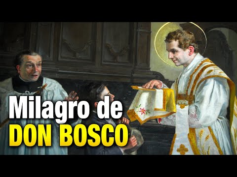 Don Bosco encontró mi BILLETERA. Hecho de la Vida Real.