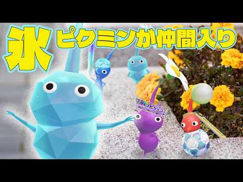 氷ピクミンのスタジアム・切符・歯みがきが追加！【ピクミンブルーム/PikminBloom】