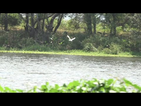 Potencial Turístico del Río Tipitapa: Tesoro Natural de Nicaragua