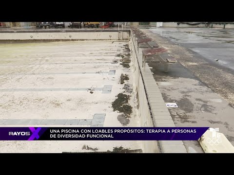 Lleno de sapos: en total abandono piscina olímpica en Arecibo