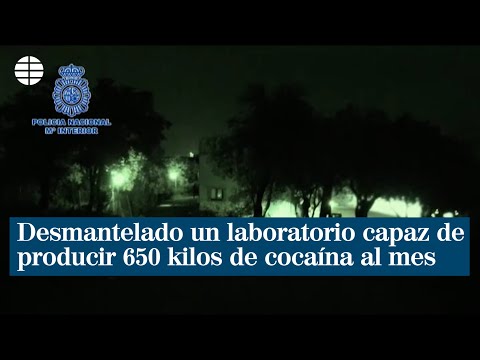 Desmantelado un laboratorio clandestino capaz de producir 650 kilos de cocaína al mes
