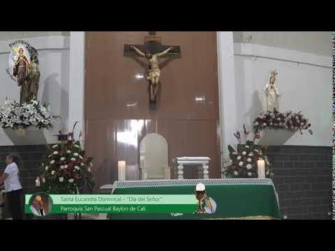 Santa Eucaristía Dominical - Sanación por las Familias.