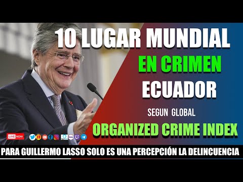 CRIMINALIDAD EN ALZA: Ecuador en el Top 12 Mundial y la Alarmante Ola Migratoria ¿Quién Responde?
