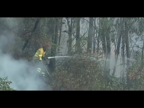 Autoridades continúan trabajando en zonas afectadas por incendios forestales