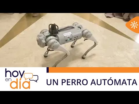 Hoy en día | 'Perkins', el perro-robot diseñado para labores de vigilancia y primeros auxilios