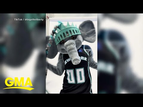 Meet the woman behind viral New York Liberty mascot, Ellie the Elephant