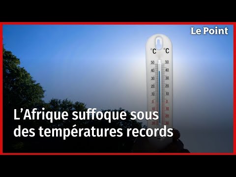Jusqu'à 49°C à l'ombre : en Afrique, des températures records pour la période