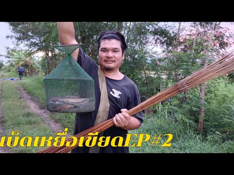 ฟ้าสางที่วังช้าง-ปักเบ็ดเหยื่อ ฟ้าสางที่วังช้าง-ปักเบ็ดเหยื่อ