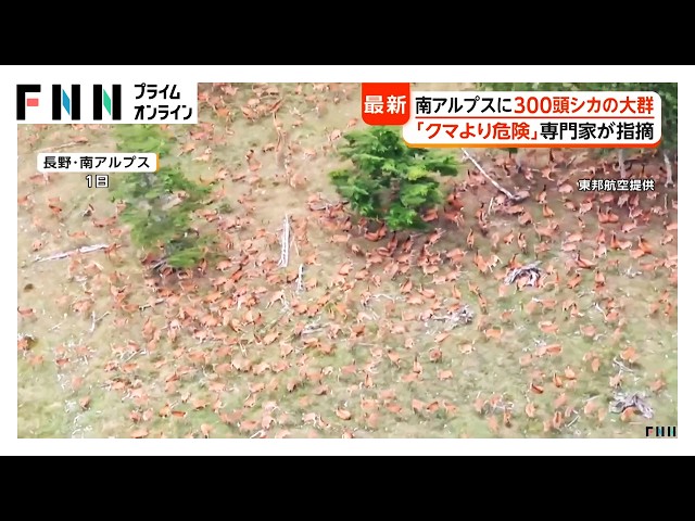 Image of Deer Population Surges in Southern Alps