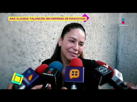 Pintarlos sí, dañarlos no: Ana Claudia Talancón en defensa de los animales | De Primera Mano