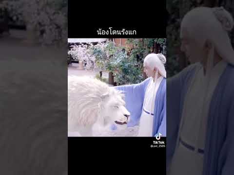 11-กันยายน-ค.ศ.-2021 11-กันยายน-ค.ศ.-2021