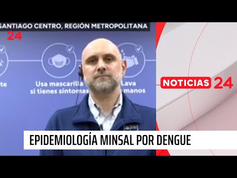 Epidemiología Minsal por Dengue: “No existen casos de contagio en el Chile continental”