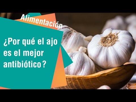 ¿Por qué el ajo es el mejor antibiótico natural | Alimentación Sana