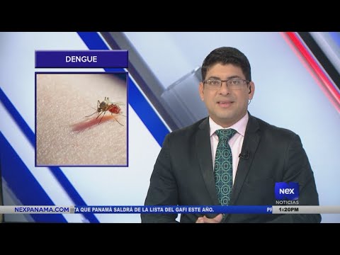 Minsa reporta aumento de casos de dengue en diferentes regiones de Panamá