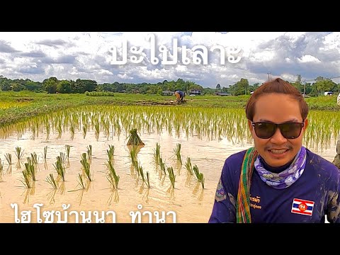 ไฮโซบ้านนา-ทำนา-หาปู---@ปะไปเล ไฮโซบ้านนา-ทำนา-หาปู---@ปะไปเล