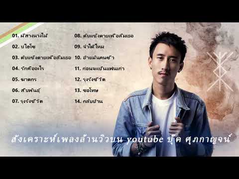 [NEW]รวมเพลงเพราะๆ-บุ๊คศุภ