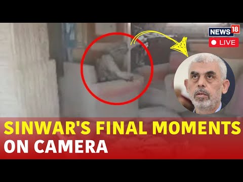 Yahya Sinwar Threw Stick At Israeli Drone Moments Before His Death | Hamas | Live | Netanyahu | N18G