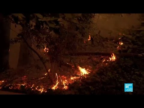 Incendies en Californie : 400 000 hectares détruits, de nouveaux départs de feux toujours à craindre