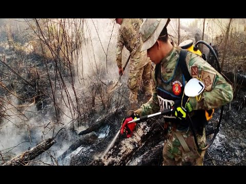 Riberalta: Efectivos navales sofocaron incendio forestal