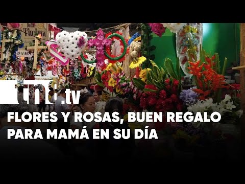 Las rosas, las más hermosas para celebrar a mamá en su día - Nicaragua
