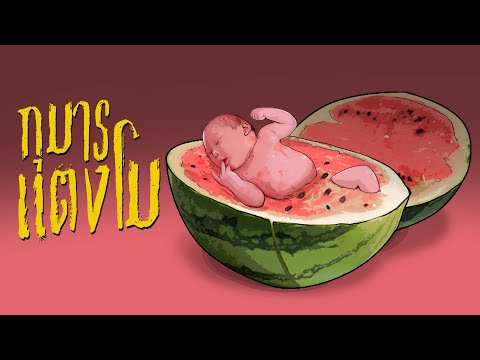 กุมารแตงโม กุมารแตงโม