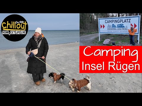 ..is 50 euros too much🤔Tourist tax for dogs so high😒Motorhome parking-Camping site Oase Rügen (Pr...